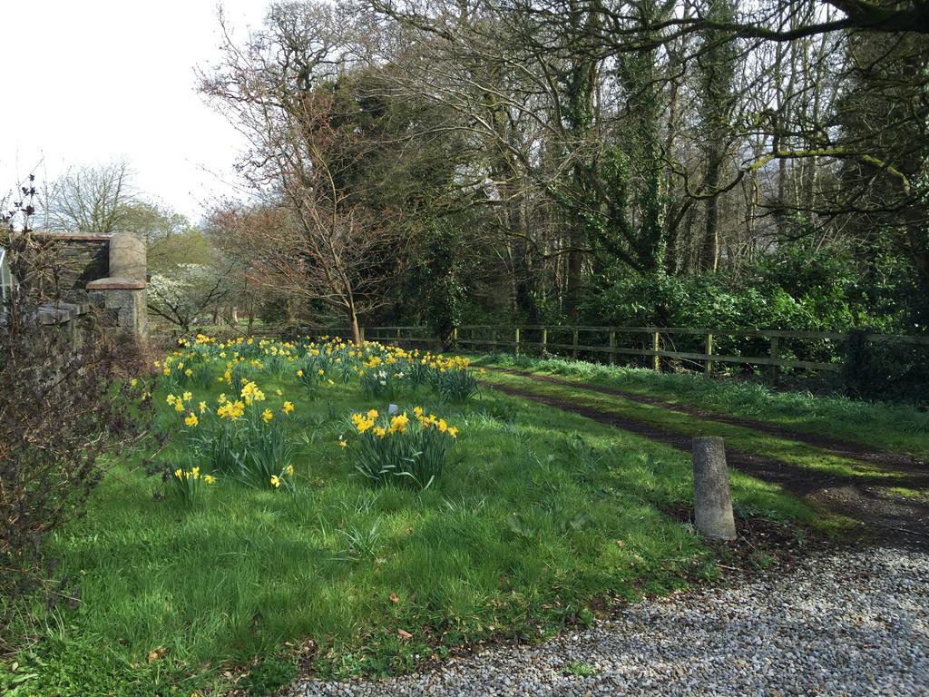 Townley Hall Apartments Slane Room photo